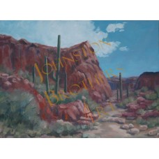 Sabino Wash Sabino Wash